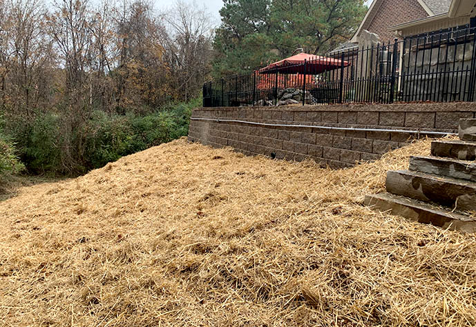 Wheat straw erosion control while grass grows